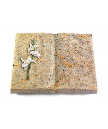 Livre/New Kashmir (ohne Ornament)