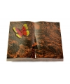 Livre/Aruba Papillon 2 (Color)