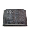 Livre Pagina/Orion Gingozweig 2 (Alu)