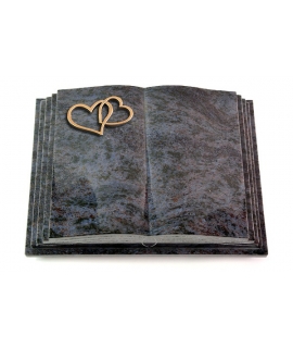 Livre Pagina/Orion Gingozweig 2 (Bronze)