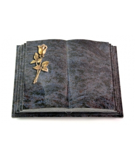 Livre Pagina/Orion Rose 7 (Bronze)