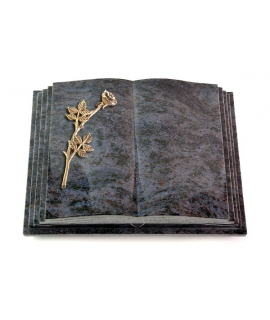 Livre Pagina/Orion Rose 8 (Bronze)