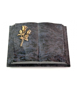 Livre Pagina/Orion Rose 10 (Bronze)