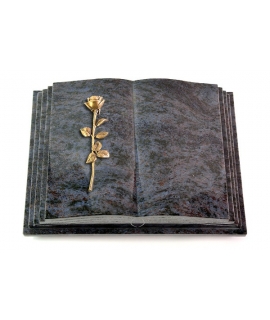 Livre Pagina/Orion Rose 11 (Bronze)