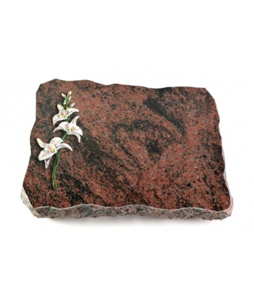 Aruba Pure Rose 13 (Bronze)