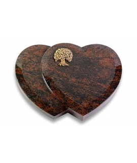 Amoureux/Aruba Baum 1 (Bronze)