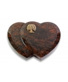 Amoureux/Aruba Baum 1 (Bronze)