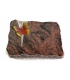 Aruba Delta Papillon 1 (Color)