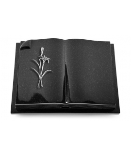 Livre Auris/Indisch-Black Ähren 1 (Alu)