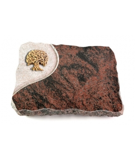 Aruba Folio Baum 2 (Bronze)