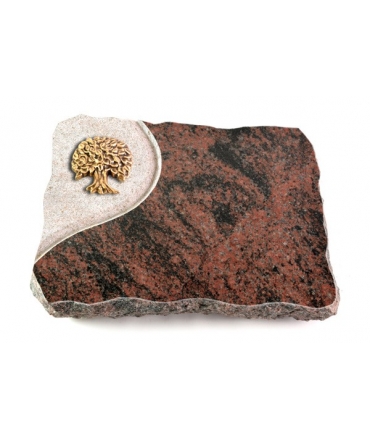 Aruba Folio Baum 2 (Bronze)