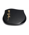 Cassiopeia/Indisch-Black Rose 11 (Bronze)