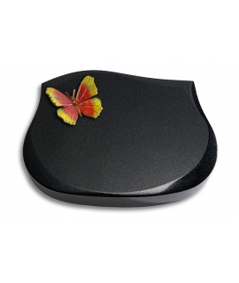 Cassiopeia/Indisch-Black Papillon 1 (Color)