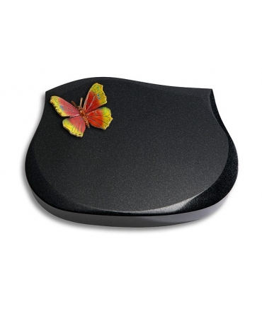 Cassiopeia/Indisch-Black Papillon 1 (Color)