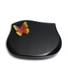 Cassiopeia/Indisch-Black Papillon 1 (Color)