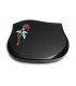 Cassiopeia/Indisch-Black Rose 1 (Color)