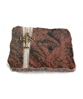 Aruba Strikt Baum 1 (Bronze)