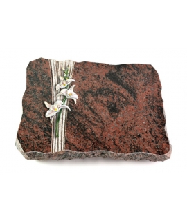 Aruba Strikt Rose 13 (Bronze)