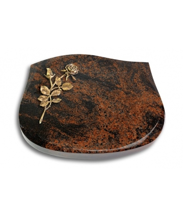 Cassiopeia/Indisch-Black Rose 13 (Bronze)
