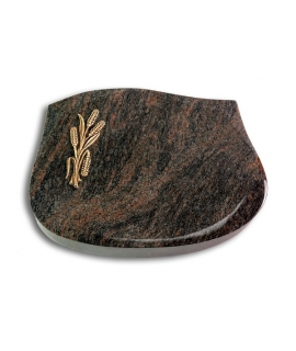 Cassiopeia/Aruba Ähren 1 (Bronze)