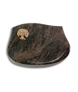 Cassiopeia/Aruba Baum 3 (Bronze)