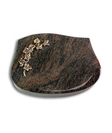 Cassiopeia/Aruba Efeu (Bronze)