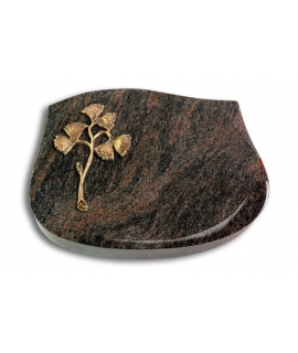 Cassiopeia/Aruba Gingozweig 1 (Bronze)