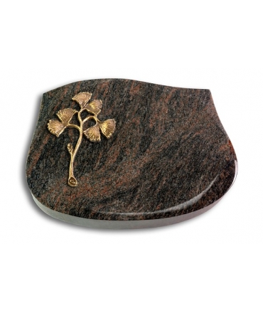 Cassiopeia/Aruba Gingozweig 1 (Bronze)
