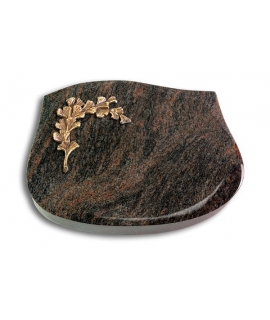 Cassiopeia/Aruba Gingozweig 2 (Bronze)