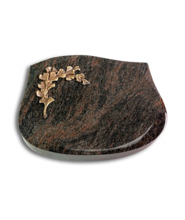 Cassiopeia/Aruba Gingozweig 2 (Bronze)