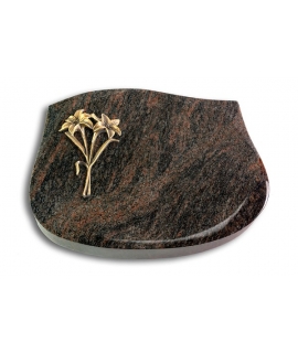 Cassiopeia/Aruba Lilie (Bronze)