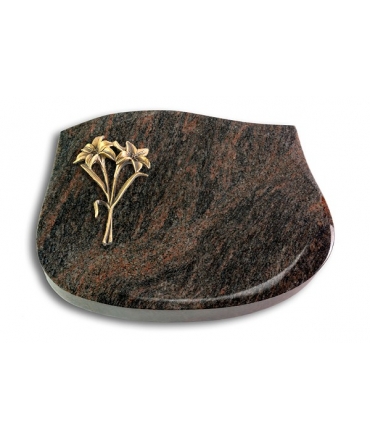 Cassiopeia/Aruba Lilie (Bronze)