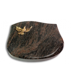 Cassiopeia/Aruba Taube (Bronze)