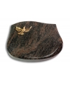 Cassiopeia/Aruba Taube (Bronze)
