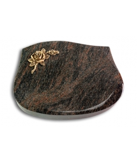 Cassiopeia/Aruba Rose 1 (Bronze)
