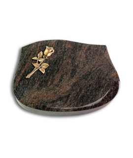 Cassiopeia/Aruba Rose 8 (Bronze)