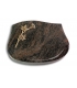 Cassiopeia/Aruba Rose 10 (Bronze)