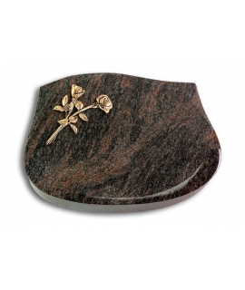 Cassiopeia/Aruba Rose 10 (Bronze)