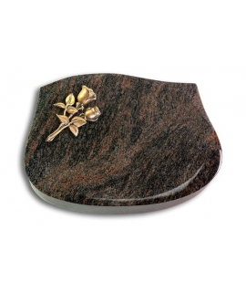 Cassiopeia/Aruba Rose 11 (Bronze)