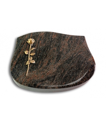 Cassiopeia/Aruba Rose 12 (Bronze)