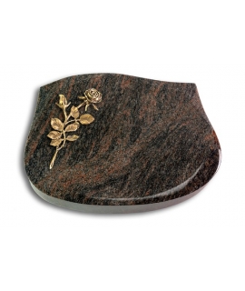 Cassiopeia/Aruba Rose 13 (Bronze)