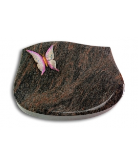 Cassiopeia/Aruba Papillon 1 (Color)