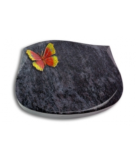 Cassiopeia/Kashmir Papillon 2 (Color)