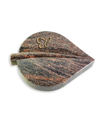 Folia/Aruba Papillon (Bronze)