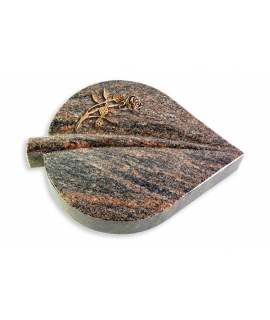 Folia/Aruba Rose 6 (Bronze)