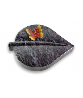 Folia/New-Kashmir Papillon 2 (Color)