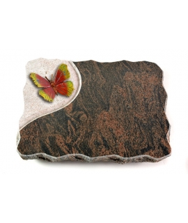 Barap Folio Papillon 1 (Bronze)