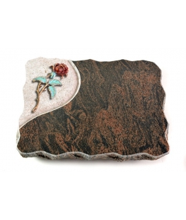Barap Folio Rose 1 (Color)