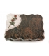 Barap Folio Rose 4 (Color)
