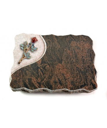 Barap Folio Rose 6 (Color)
